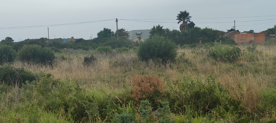 0 Bedroom Property for Sale in Colchester Eastern Cape